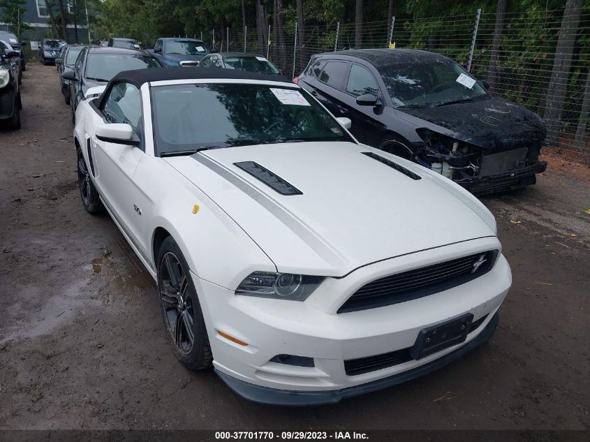 2013 FORD MUSTANG GT - 1ZVBP8FF2D5207560