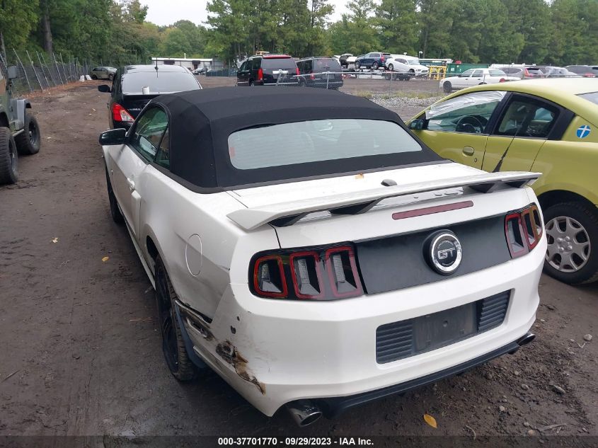 2013 FORD MUSTANG GT - 1ZVBP8FF2D5207560