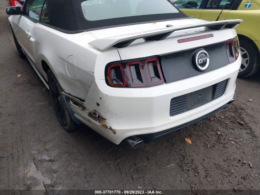 2013 FORD MUSTANG GT - 1ZVBP8FF2D5207560