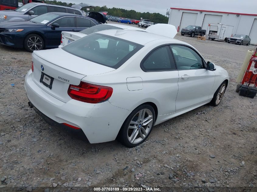 2015 BMW 2 SERIES 228I XDRIVE WBA1F7C55FV367150