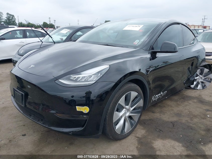VIN 5YJYGDEE7MF300202 2021 TESLA MODEL Y LONG RANGE