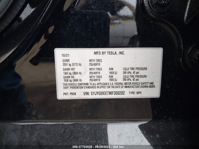 VIN 5YJYGDEE7MF300202 2021 TESLA MODEL Y LONG RANGE