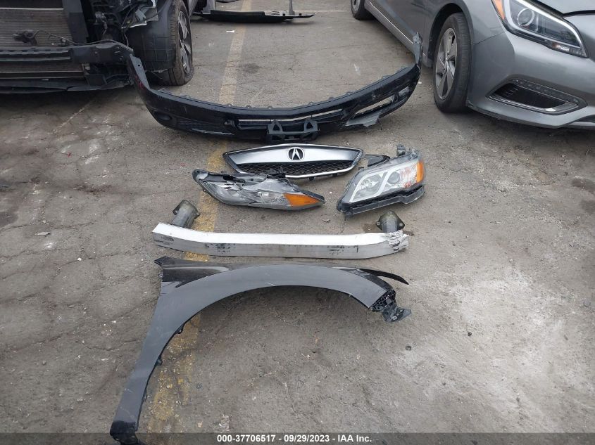 2013 ACURA RDX - 5J8TB4H39DL020346