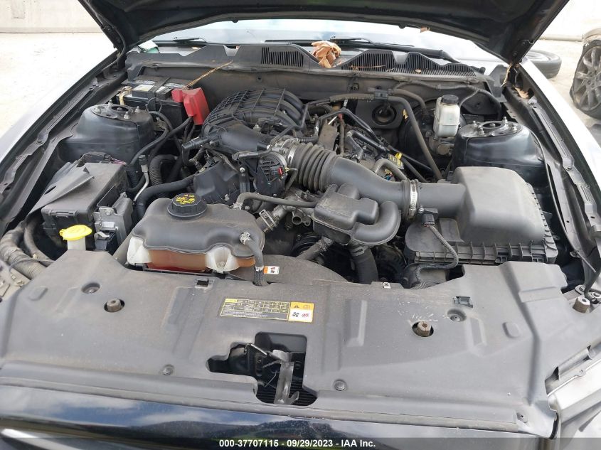 2013 FORD MUSTANG V6 - 1ZVBP8AM0D5214240