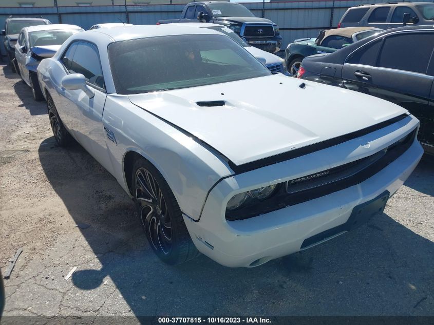 2013 DODGE CHALLENGER SXT - 2C3CDYAG9DH607323