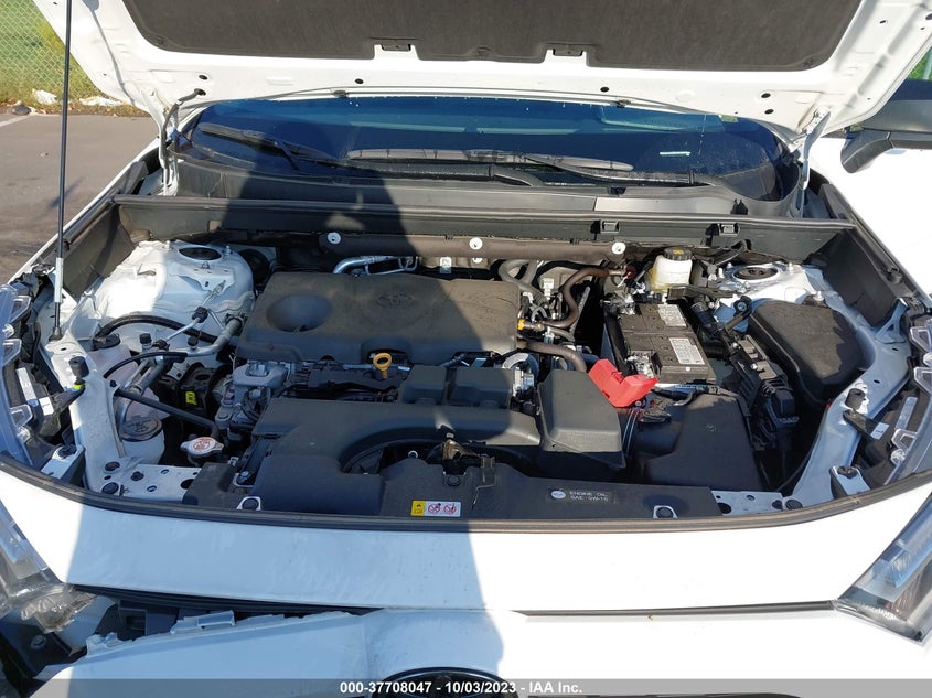 VIN 2T3F1RFV8PW329811 2023 TOYOTA RAV4 LE