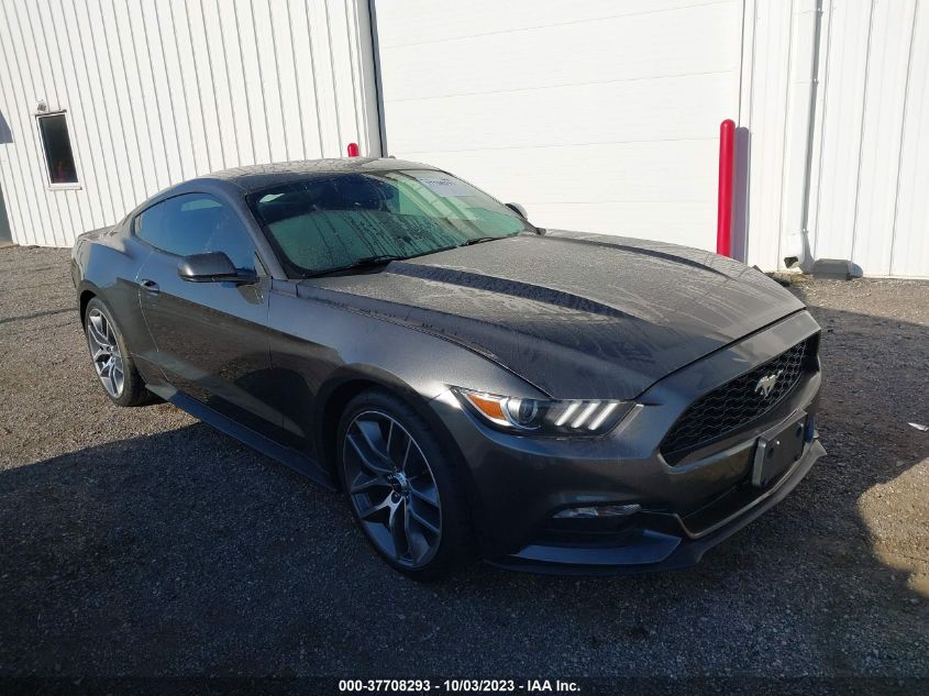 2017 FORD MUSTANG - 1FA6P8AM1H5309339