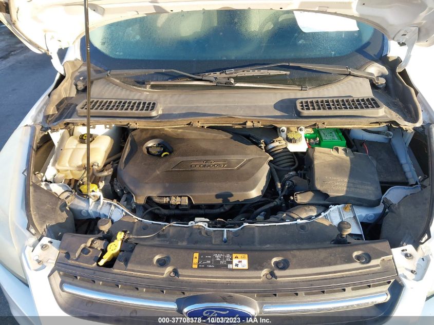 2014 FORD ESCAPE SE - 1FMCU0GXBEVB48445