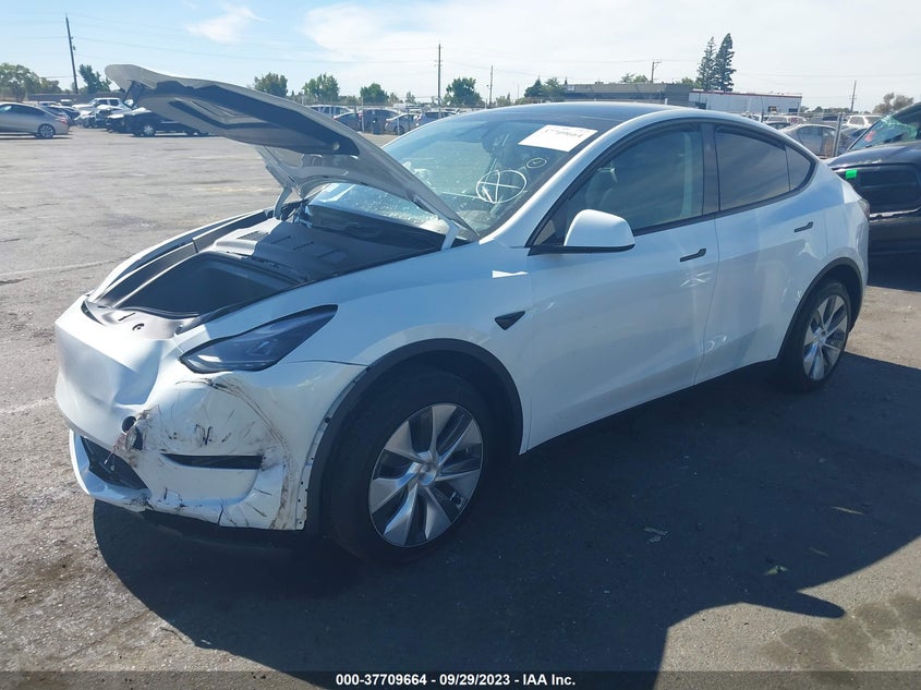 VIN 7SAYGAEE3PF868100 2023 TESLA MODEL Y LONG RANGE
