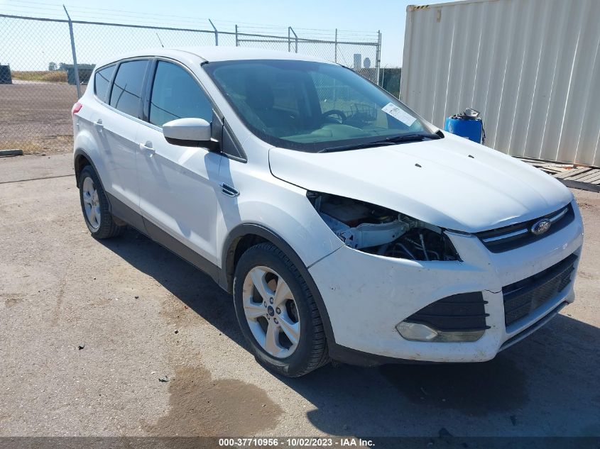 2014 FORD ESCAPE SE - 1FMCU0GX0EUA63910