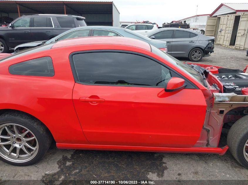 2013 FORD MUSTANG GT - 1ZVBP8CF0D5244272