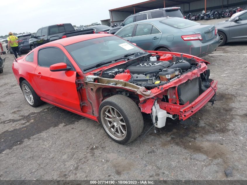 2013 FORD MUSTANG GT - 1ZVBP8CF0D5244272