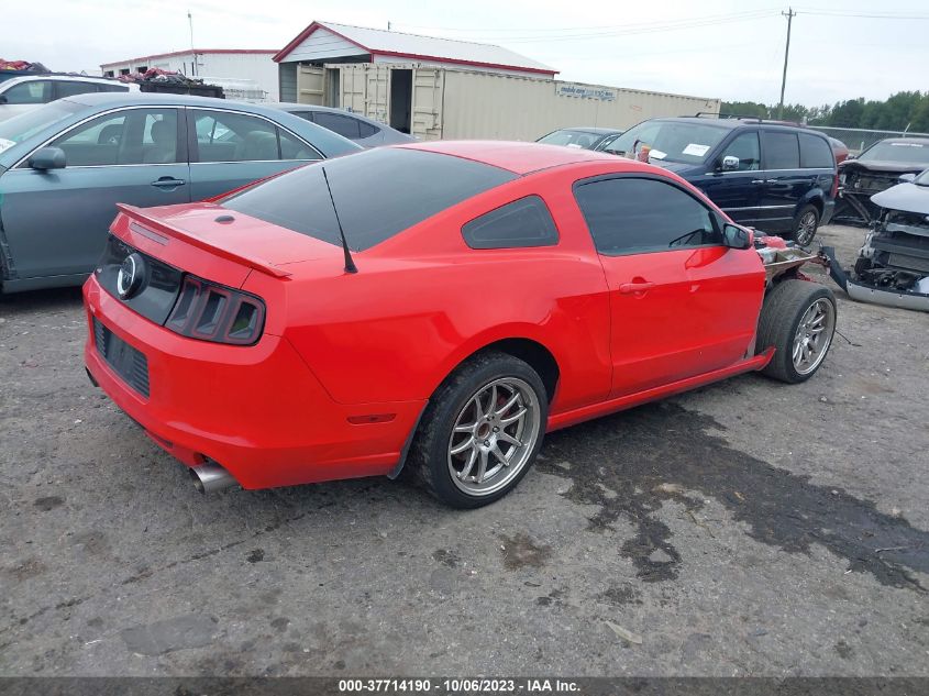 2013 FORD MUSTANG GT - 1ZVBP8CF0D5244272