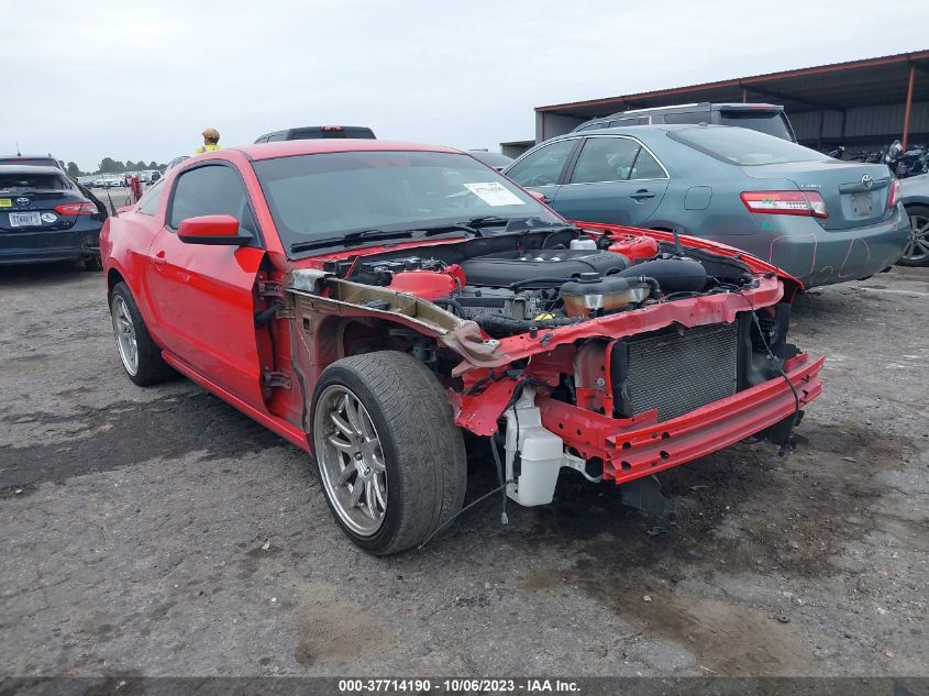 2013 FORD MUSTANG GT - 1ZVBP8CF0D5244272