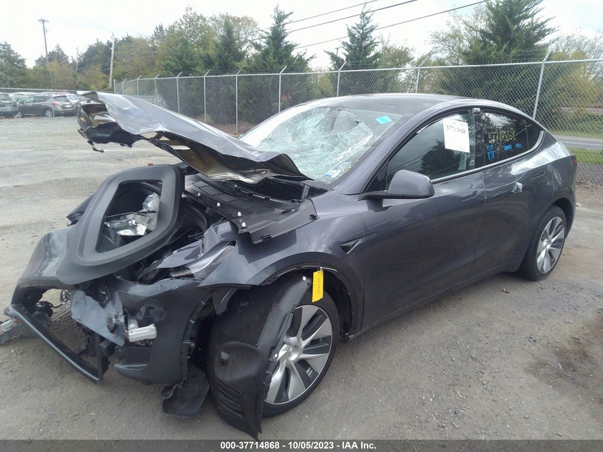 VIN 7SAYGDEE7PF803901 2023 TESLA MODEL Y LONG RANGE