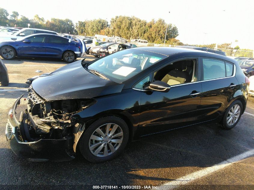 2015 KIA FORTE 5-DOOR EX - KNAFX5A87F5270049