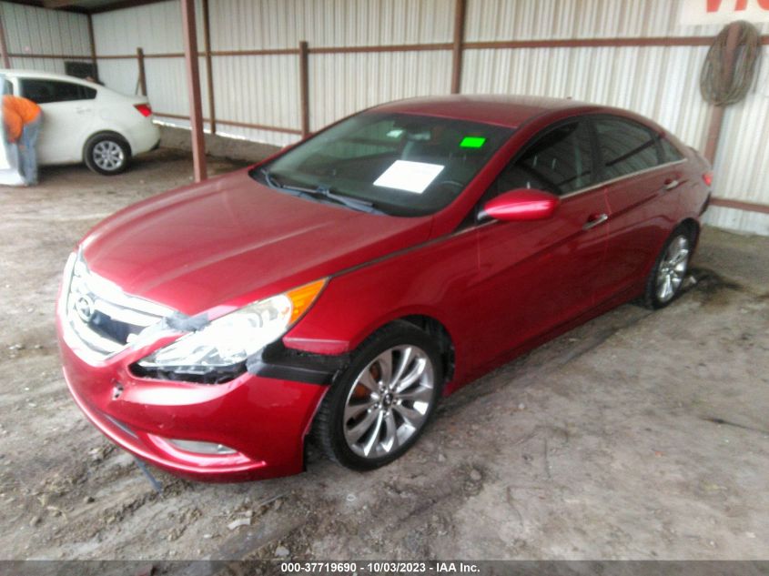 2013 HYUNDAI SONATA SE/LIMITED - 5NPEC4AC7DH654287