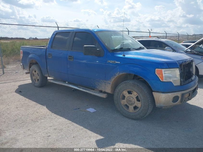 2013 FORD F-150 XL/XLT - 1FTEW1CM1DFD19600