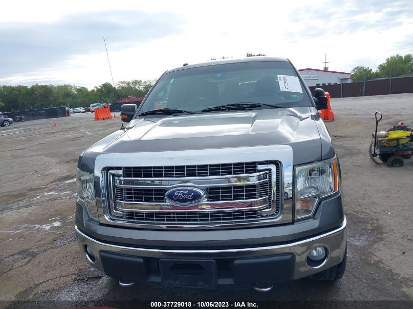 2013 FORD F-150 XL/XLT/FX4/LARIAT - 1FTFW1EF4DKG08481