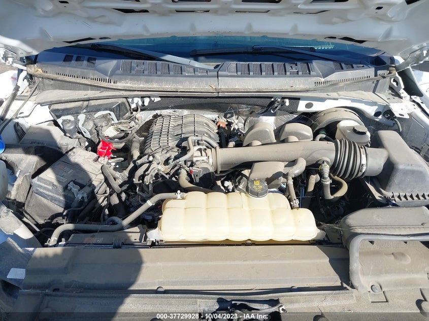 VIN 1FTMF1CB3KKD34033 2019 FORD F-150 XL/XLT