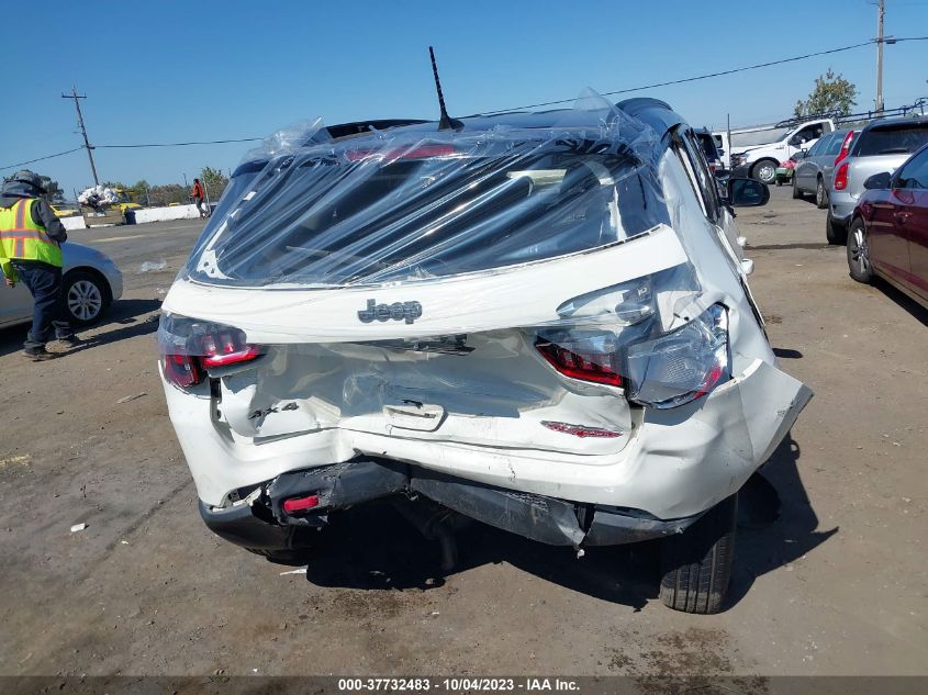 2019 JEEP COMPASS TRAILHAWK - 3C4NJDDB3KT728472