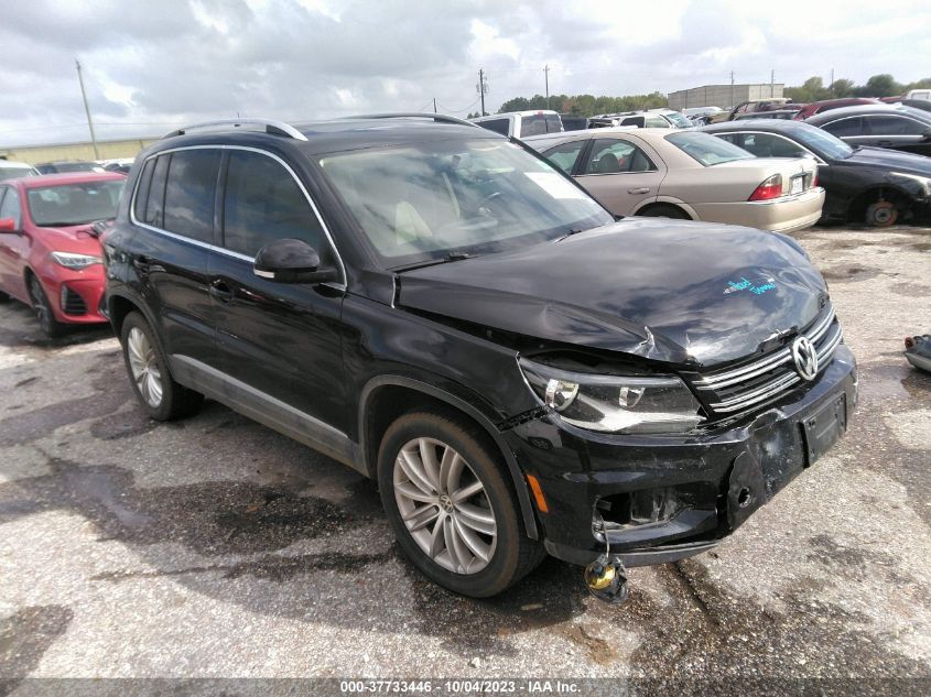 2013 VOLKSWAGEN TIGUAN S/SE/SEL - WVGAV3AX8DW599859