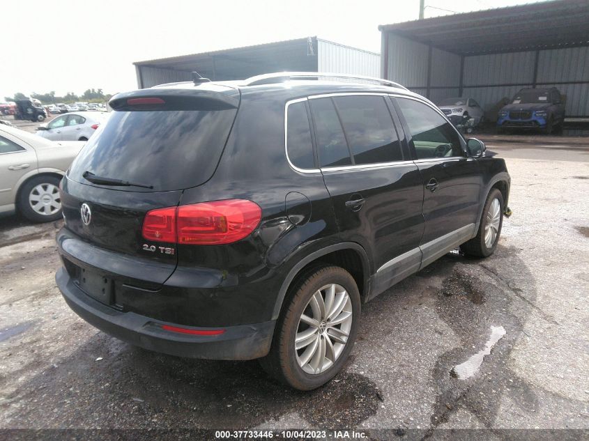 2013 VOLKSWAGEN TIGUAN S/SE/SEL - WVGAV3AX8DW599859