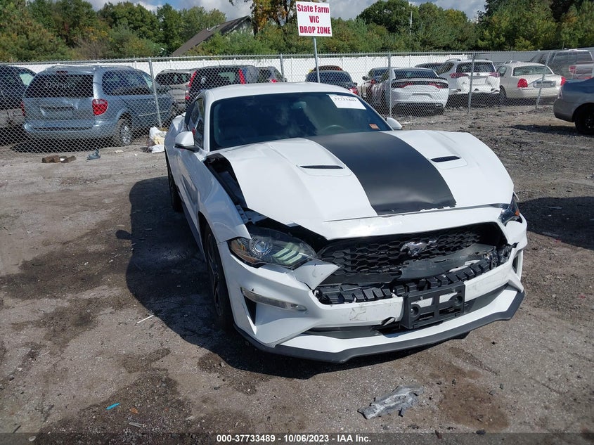 FORD MUSTANG ECOBOOST 2019