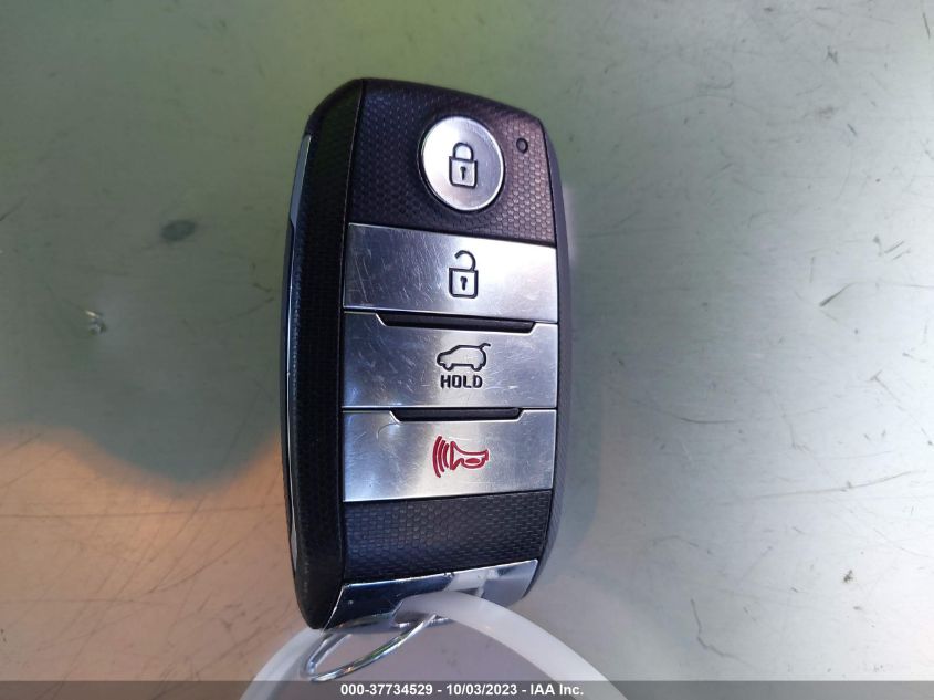 2019 KIA NIRO EV EX KNDCC3LG7K5026034