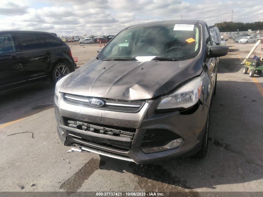 2014 FORD ESCAPE SE - 1FMCU0GXXEUA75062