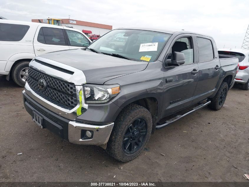 2021 TOYOTA TUNDRA 2WD SR5 - 5TFEY5F15MX295184