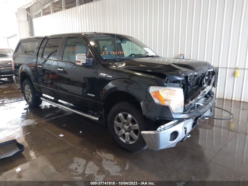 2013 FORD F-150 XL/XLT/FX4/LARIAT - 1FTFW1ET9DKD54319