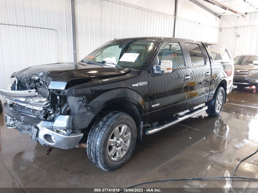 2013 FORD F-150 XL/XLT/FX4/LARIAT - 1FTFW1ET9DKD54319