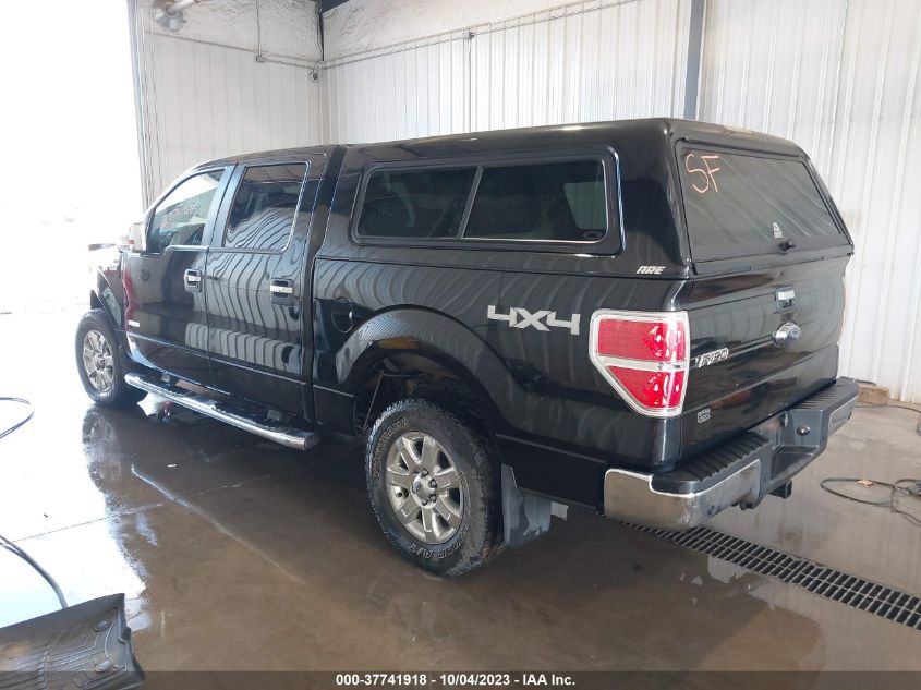 2013 FORD F-150 XL/XLT/FX4/LARIAT - 1FTFW1ET9DKD54319