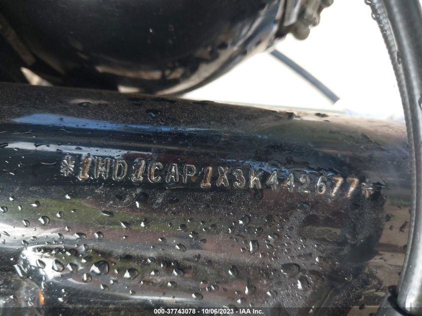 2003 HARLEY-DAVIDSON XL1200 - 1HD1CAP1X3K442677