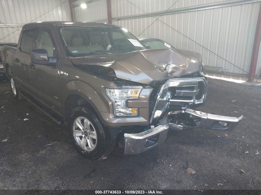 2015 FORD F-150 XL/LARIAT/XLT - 1FTEW1CP7FKE98844