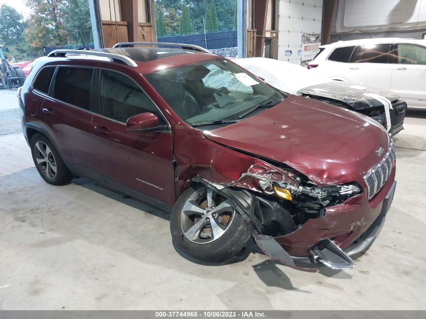 2019 JEEP CHEROKEE LIMITED - 1C4PJMDN5KD117609
