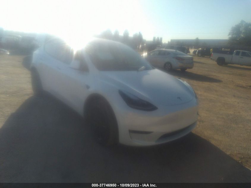 2022 TESLA MODEL Y - 07SAYGDEF5NF32670