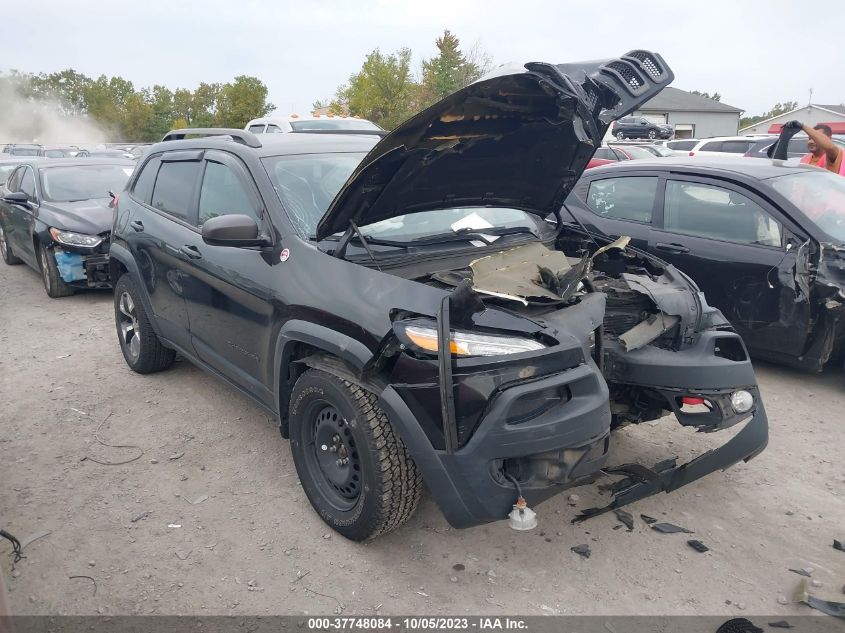 2015 JEEP CHEROKEE TRAILHAWK - 1C4PJMBS0FW759464