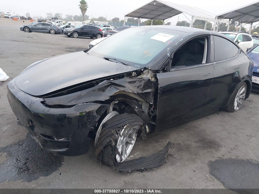 VIN 7SAYGDEE9PF813958 2023 TESLA MODEL Y
