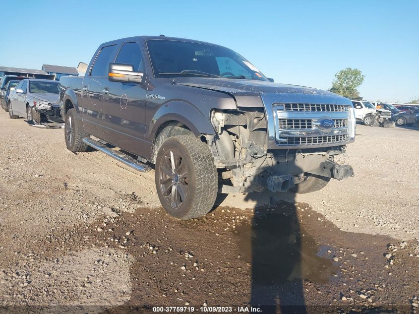 2013 FORD F-150 XL/XLT/FX2/LARIAT - 1FTFW1CF4DKG22531