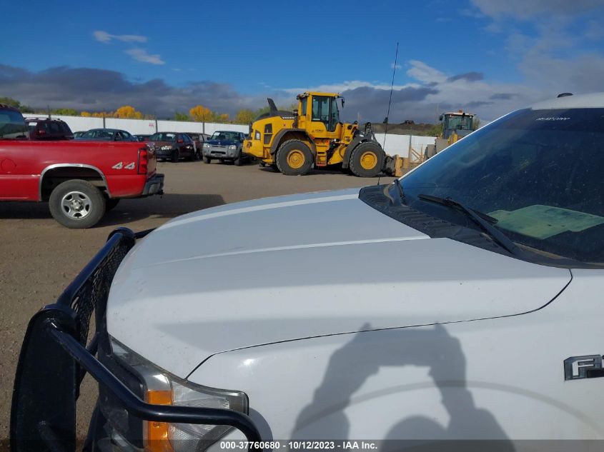 2019 FORD F-150 XL/XLT/LARIAT - 1FTFX1E51KKC53318