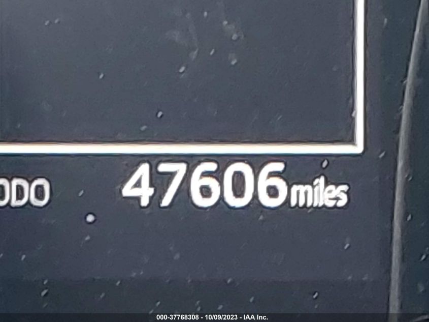 2019 TOYOTA CAMRY LE/SE/XLE/L - 4T1B11HK3KU297984
