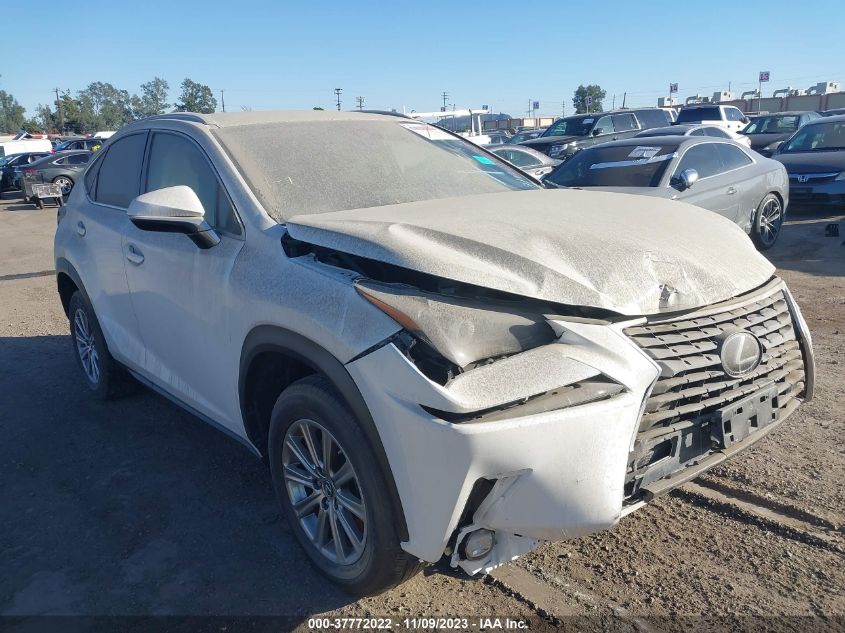 2020 LEXUS NX - JTJAARBZ6L2177062