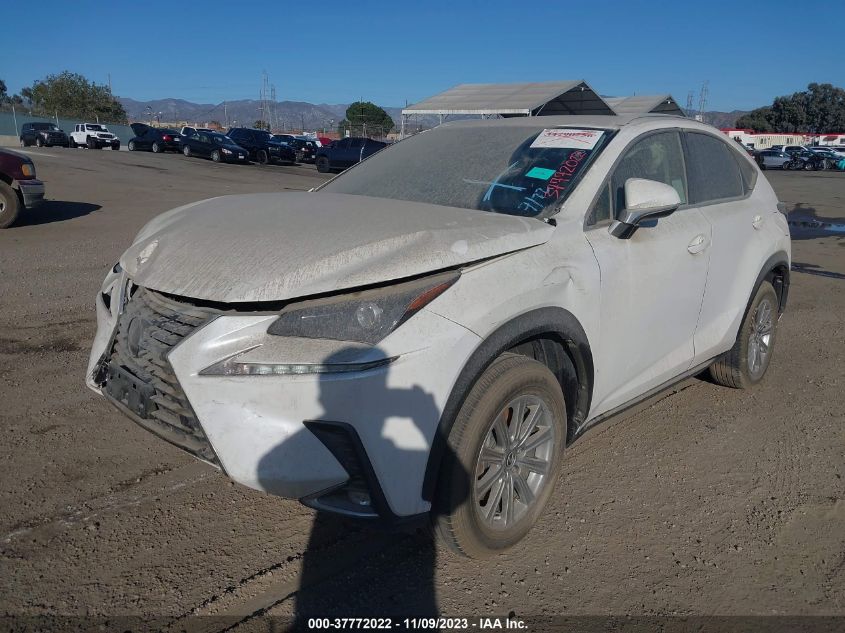 2020 LEXUS NX - JTJAARBZ6L2177062