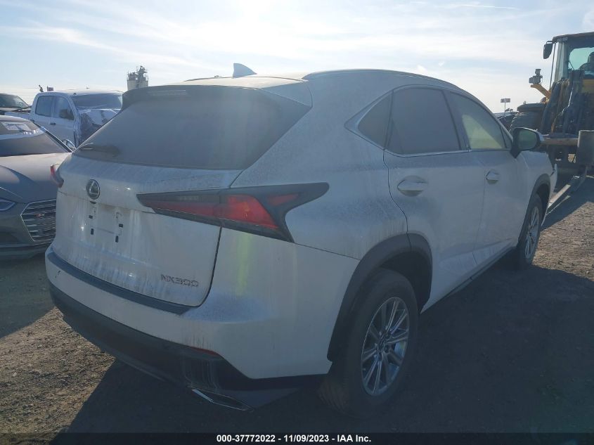 2020 LEXUS NX - JTJAARBZ6L2177062