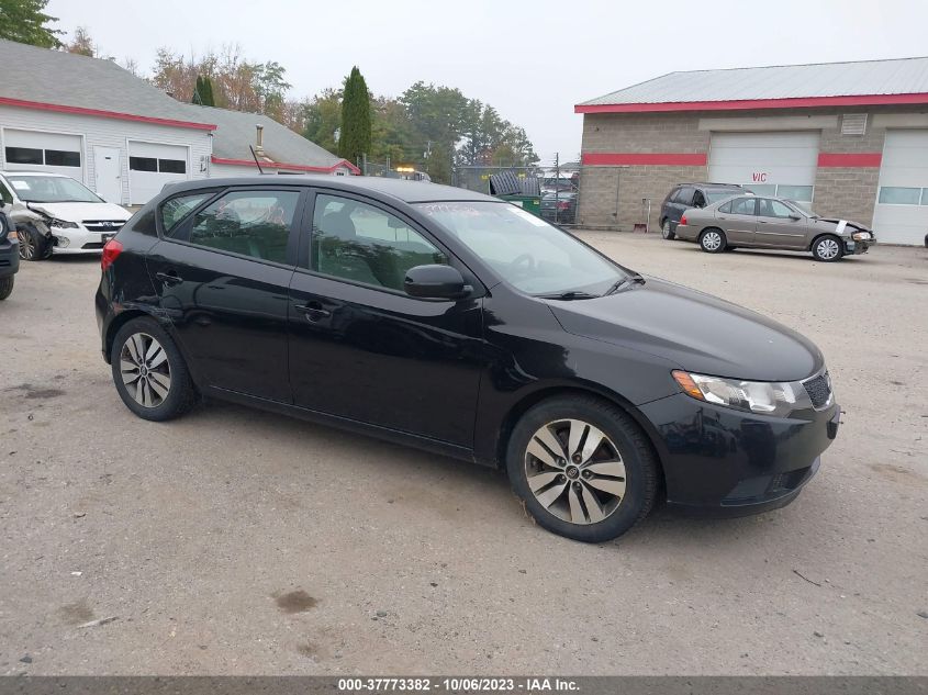 2013 KIA FORTE 5-DOOR EX - KNAFU5A24D5672998