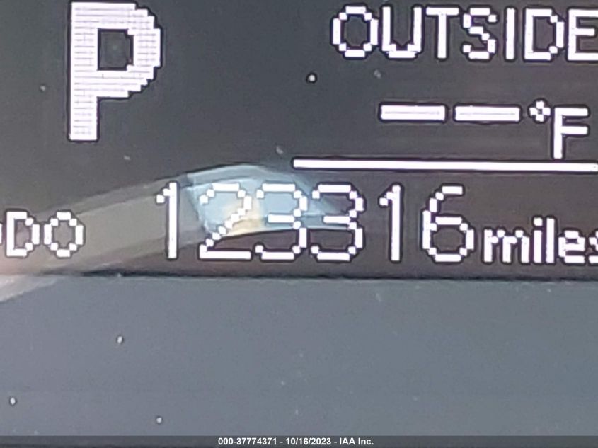 2019 TOYOTA COROLLA L/LE/SE/XLE/XSE - 5YFBURHE8KP883744