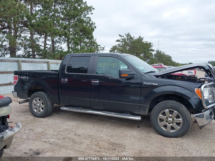 2013 FORD F-150 XL/XLT/FX4/LARIAT - 1FTFW1EF9DKG50970