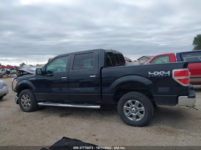 2013 FORD F-150 XL/XLT/FX4/LARIAT - 1FTFW1EF9DKG50970